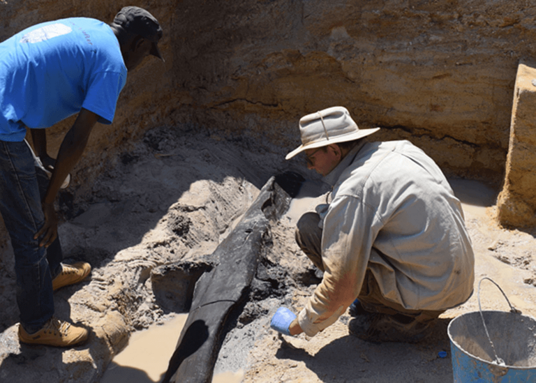 500,000-year-old wooden logs found in Zambia may be the world’s oldest ...