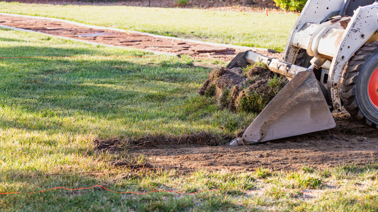 5 best lawn solutions for curb appeal that aren't grass