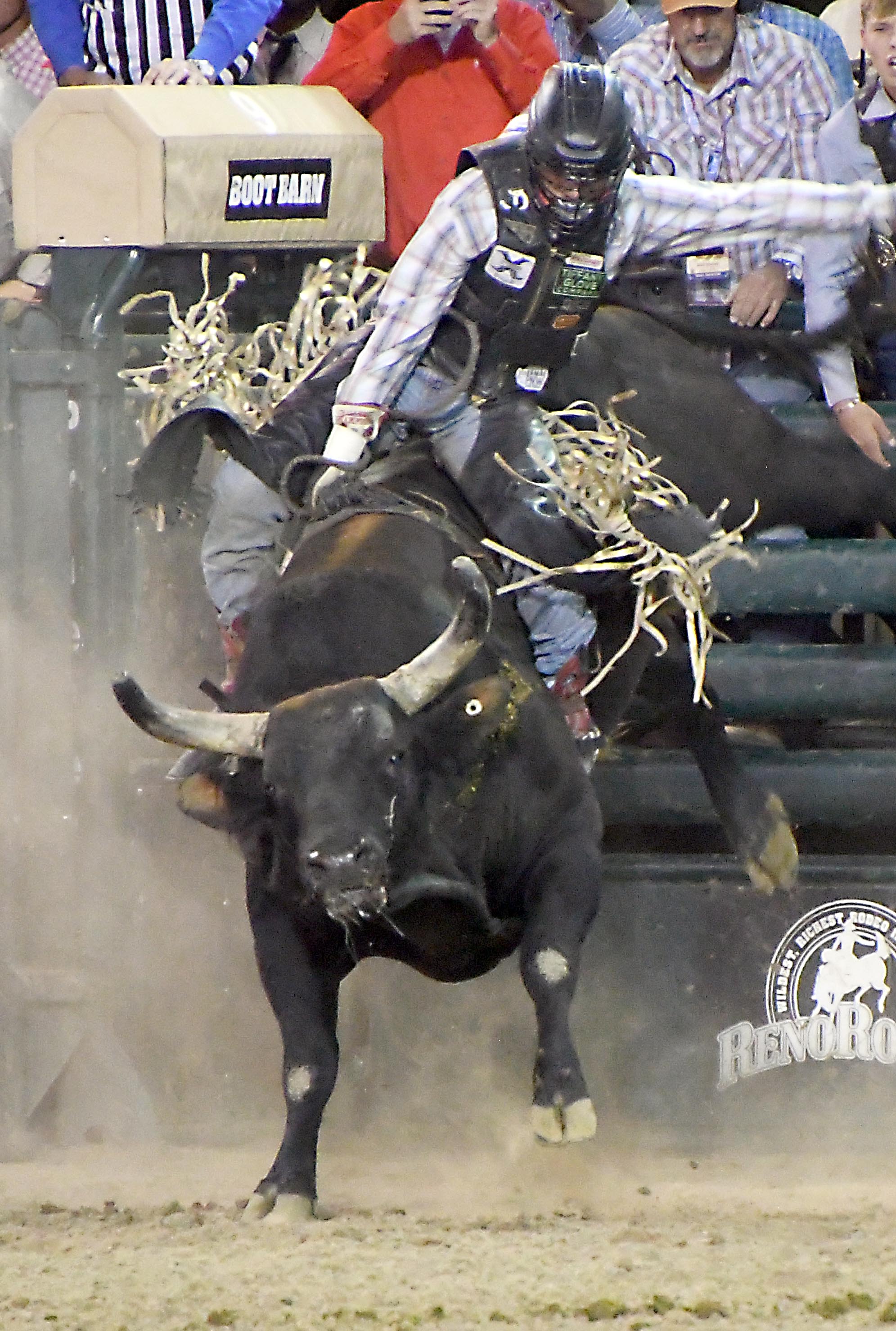 Silver State Xtreme Bulls brings PRCA bull riding to Reno on Oct. 30