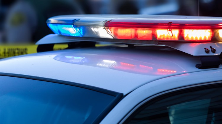 West Meadowview Road reopens after crash knocks down power lines