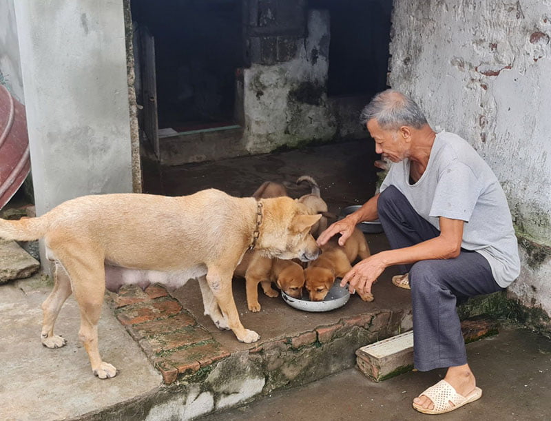 Người cao tuổi mong sớm giảm tuổi hưởng trợ cấp hưu trí xã hội xuống 70