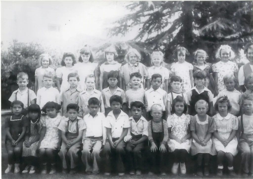 Before Brown v. Board, another segregation case changed public schools