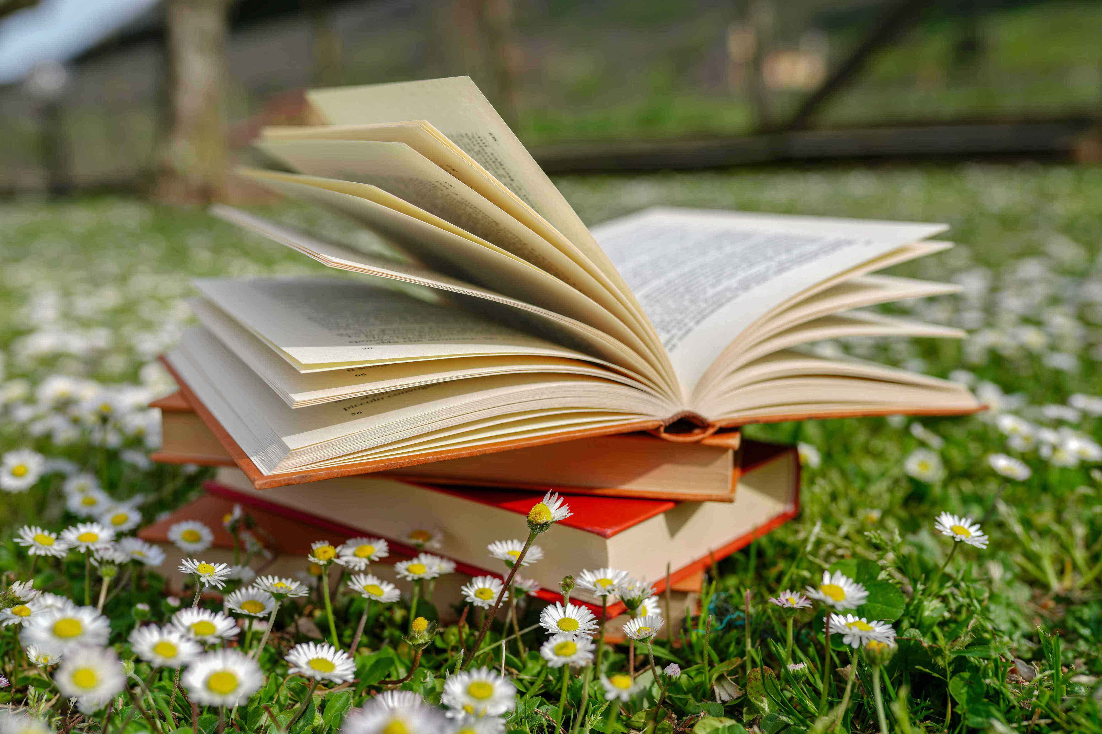 Tired of debating your next book club pick? These creative ideas make ...