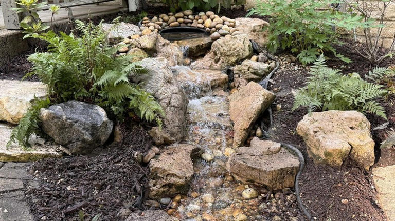 5 best lawn solutions for curb appeal that aren't grass