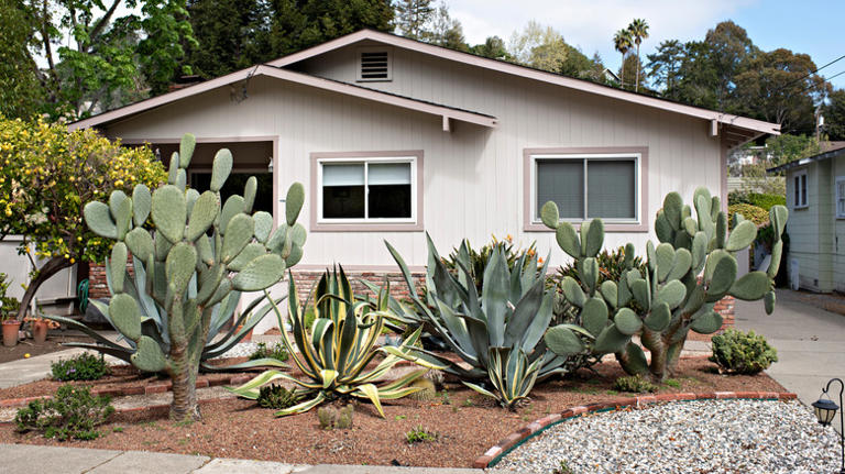 5 best lawn solutions for curb appeal that aren't grass