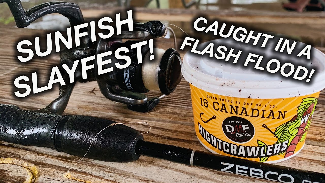 Fishing with worms at Landa Park and getting caught in a flash flood