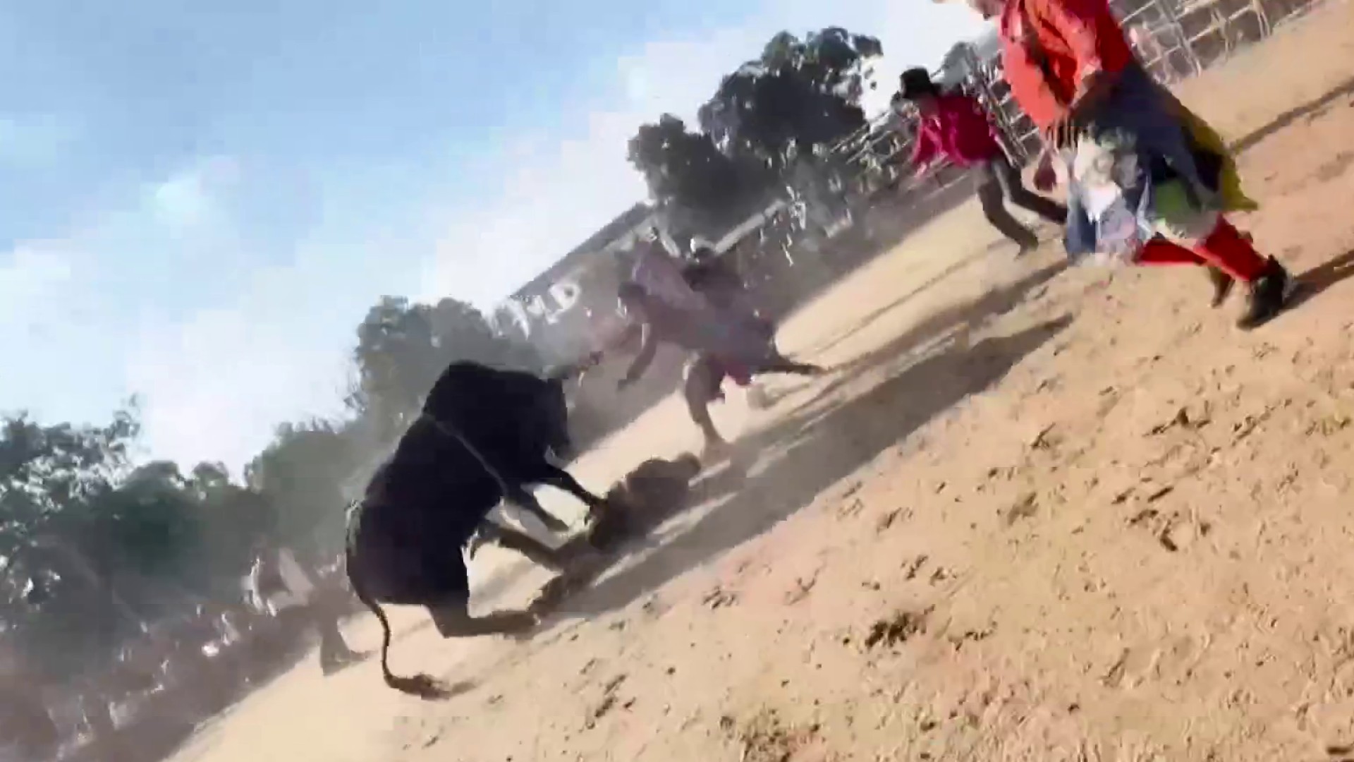 Video shows bull rider tossed and trampled at Bronx rodeo