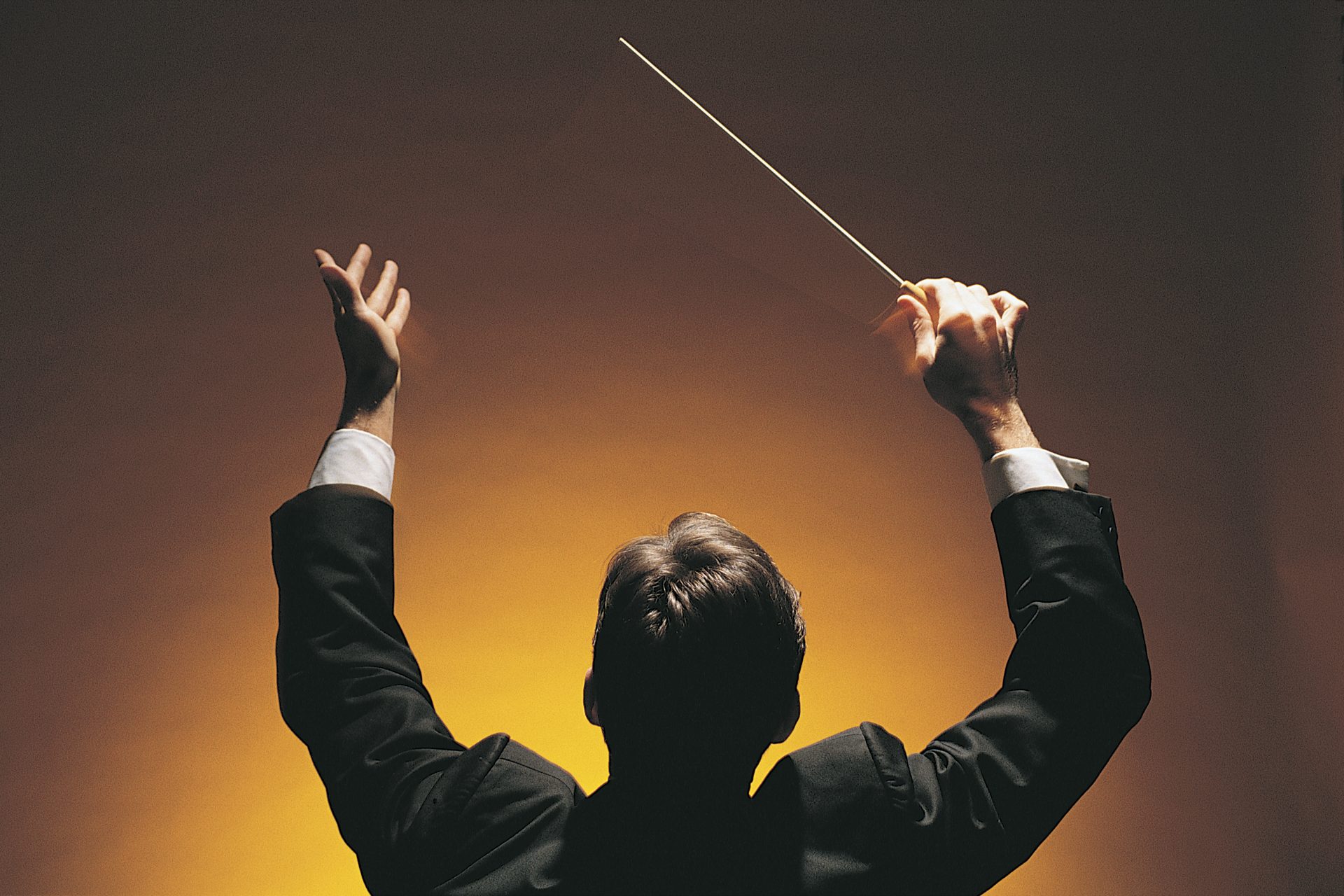 Which instruments make up a symphony orchestra?