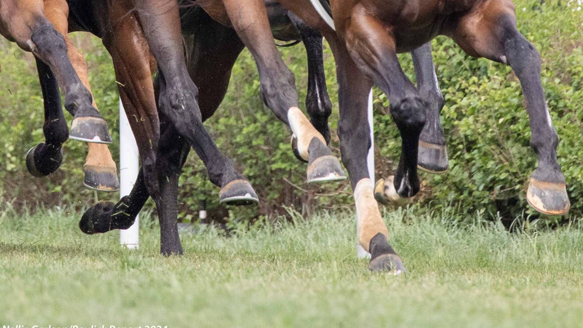 Parkin: Better data could be horse racing's next major safety advance
