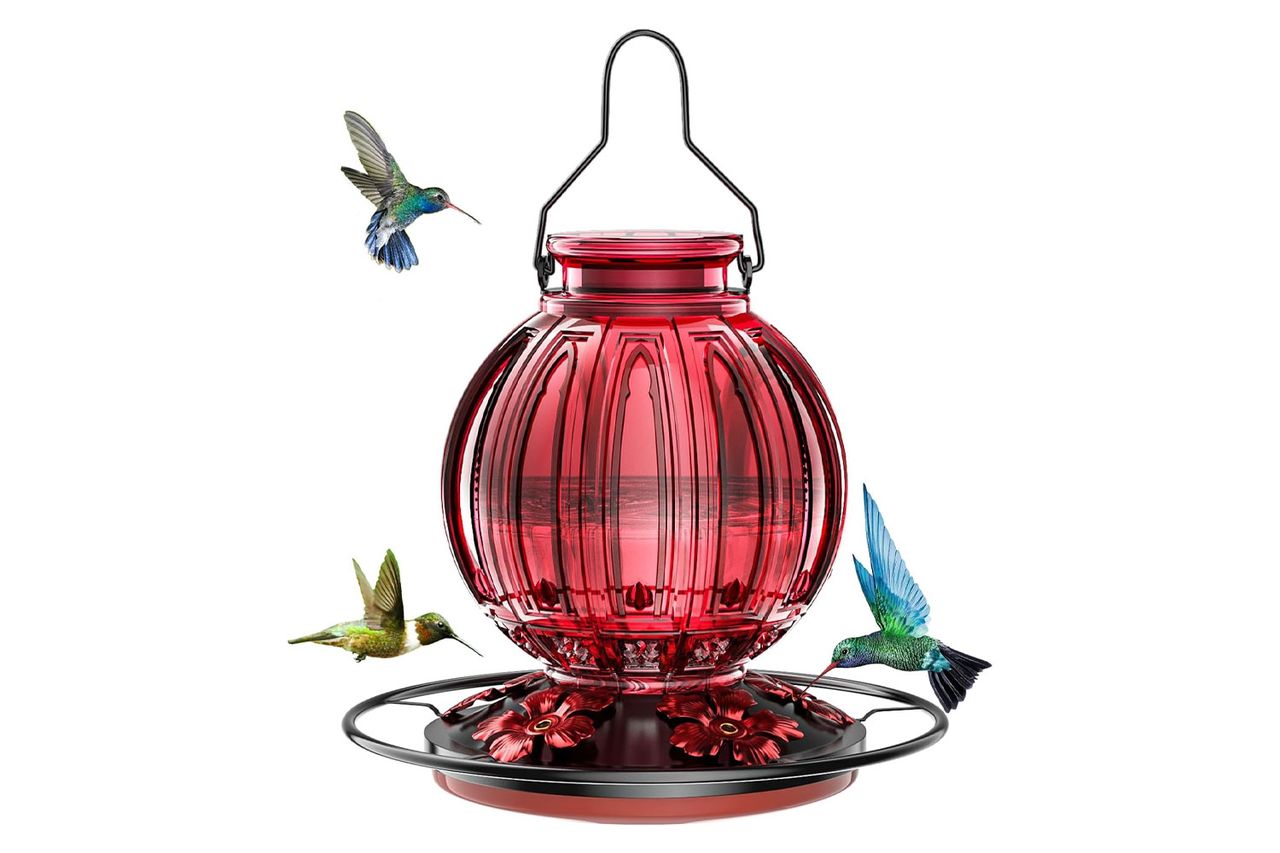 Glass Hummingbird Feeder for Outdoors Hanging, 26Oz Bird Nectar Feeder with Perch & 5 Flower Feeding Ports, Leak Proof for Outside Garden Decor Backyard, Gifts for Women Mom, Red