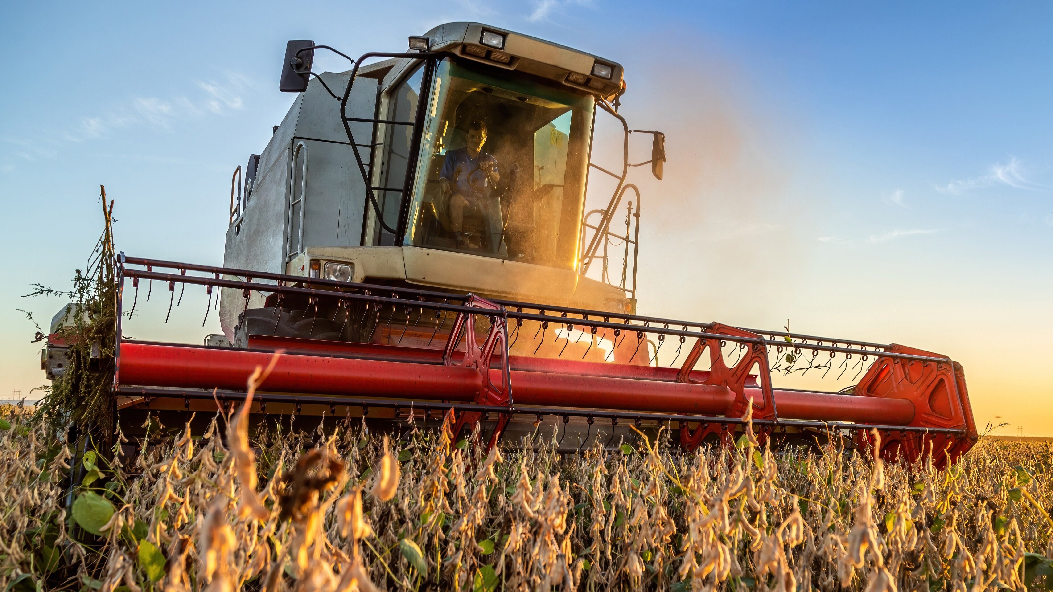 Federal disaster declaration secured for Virginia farmers impacted by ...