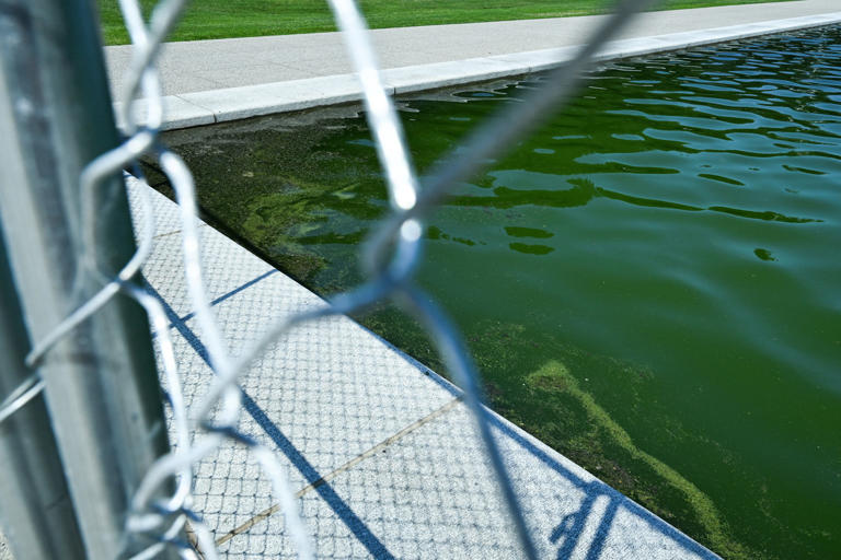 Video reveals Trump’s drained reflecting pool debacle
