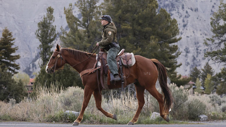 Rangers patrol even more of Yellowstone National Park than you think