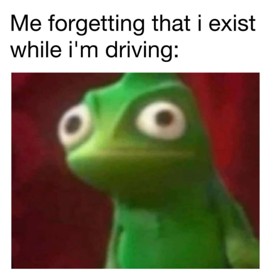 29 driving memes for drivers pretending they are on Fast and Furious