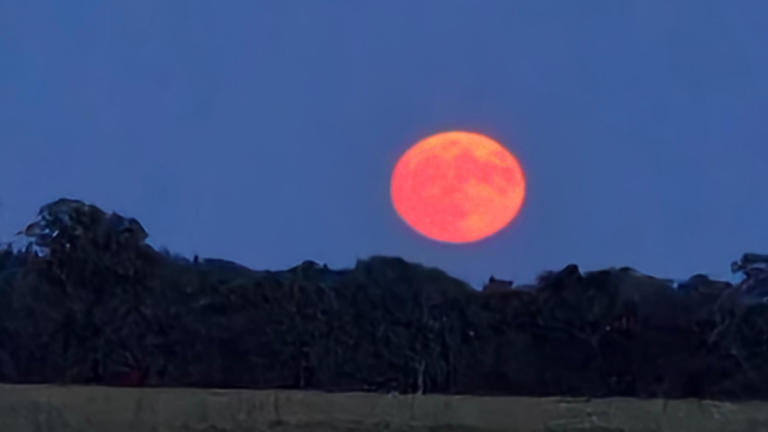 In pictures: Stunning strawberry moon lights up the sky