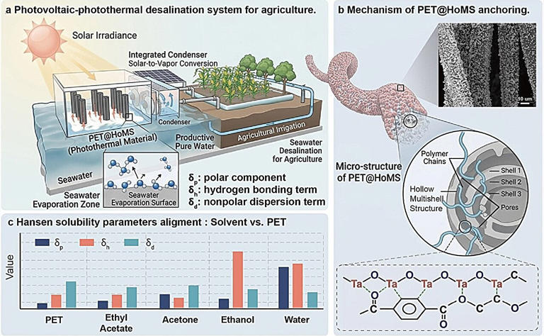Schematic illustration of the desalination system (Yu Dan)