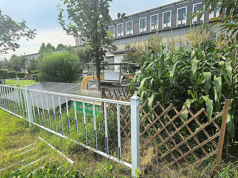 Photovoltaic-photothermal seawater desalination equipment and irrigation test field (Yu Dan)