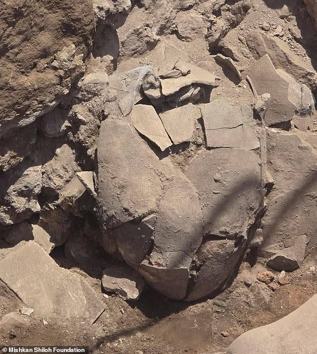 The team uncovered three large Canaanite storage jars dating to the period before the arrival of the Israelites. The jars contained charred remains of common food staples, including olives, wheat and lentils