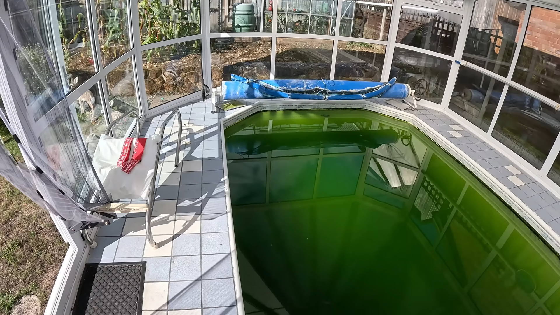 Years of filth turned this pool into a swamp