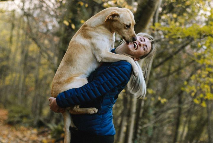 10 wonderful pets to add to your family