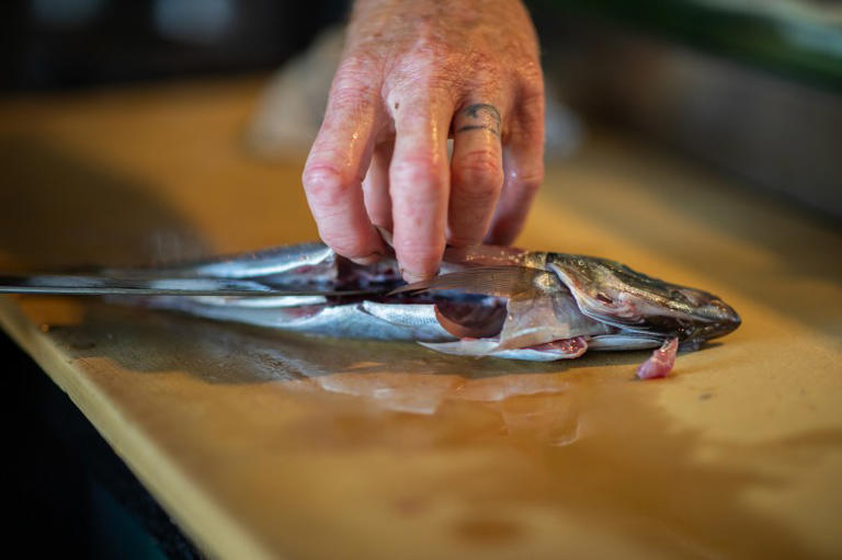 Pacific to plate: How the catch of the day ends up at high-end seafood ...