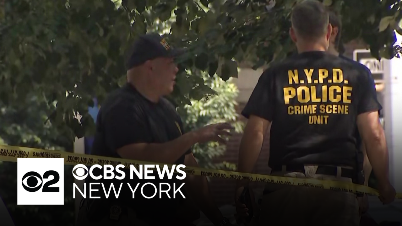 Off-duty NYPD officer fired gun during suspected catalytic converter ...