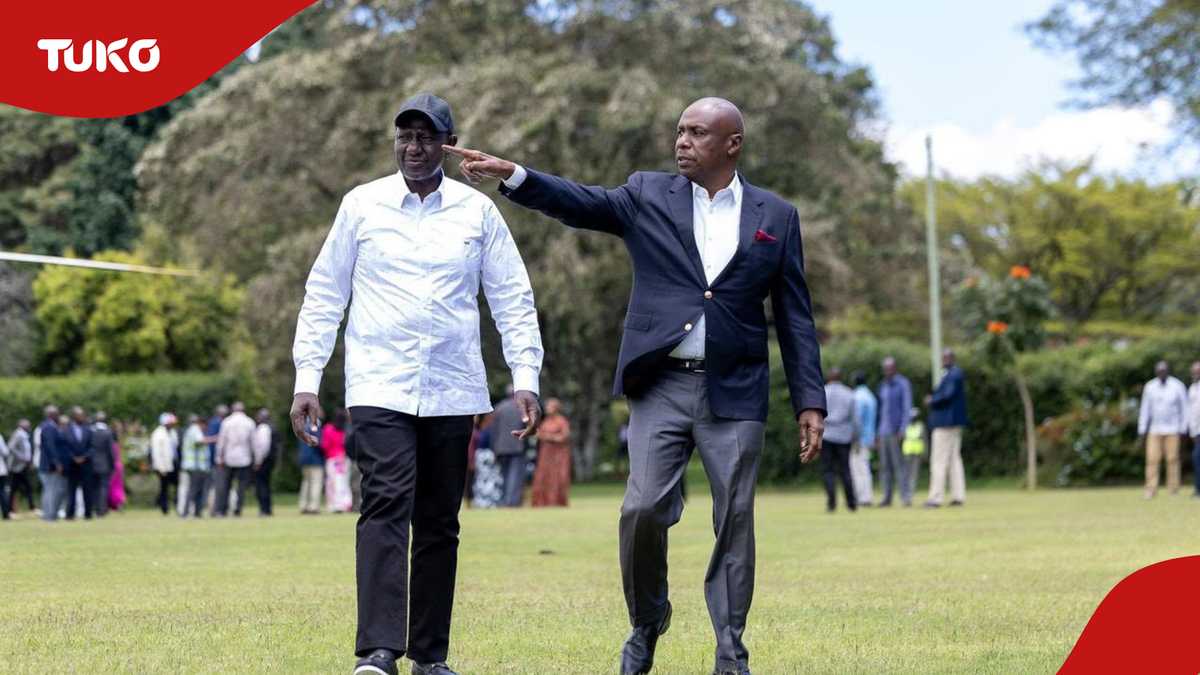 How renewed political rivalry between Gideon Moi and William Ruto could ...