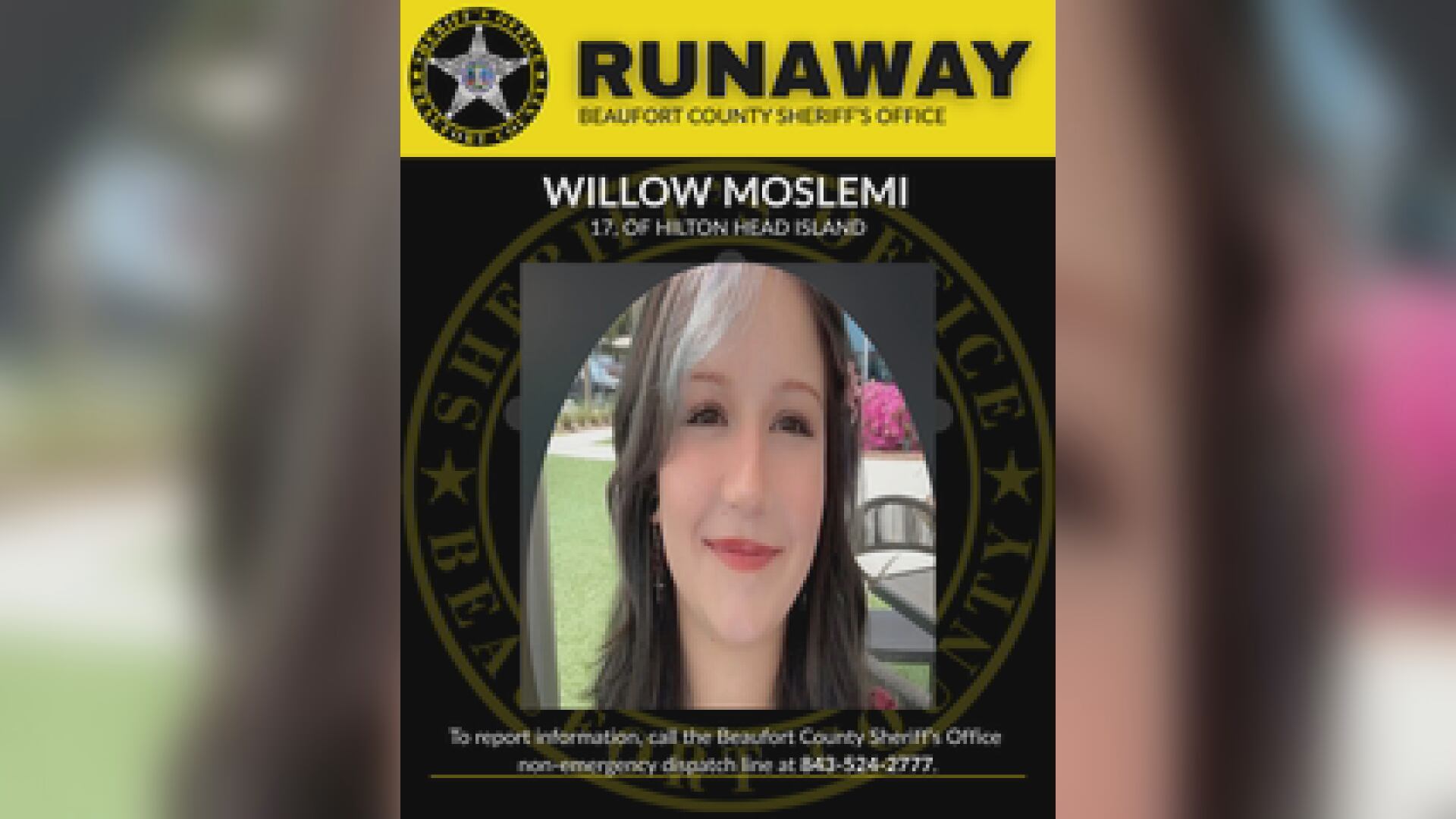 Beaufort County Sheriff’s Office seeks public help locating missing ...
