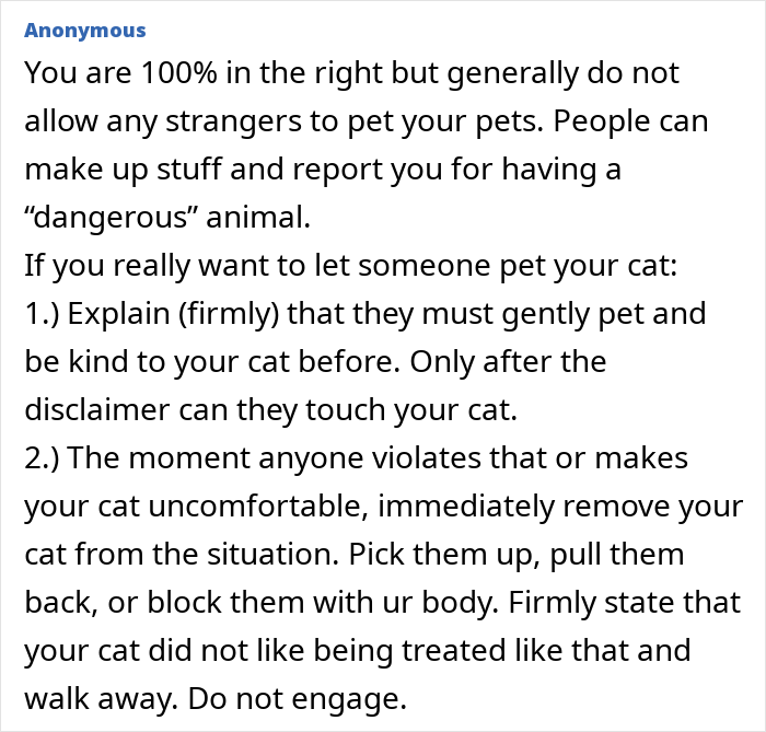 Cat Teaches Aggressive Child Not To Hurt Animals After Parents Failed To Do So