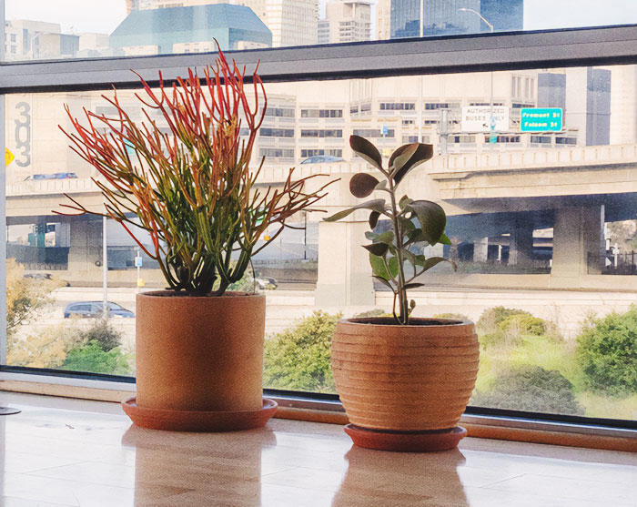 29 weird office rules that made people say 'you gotta be kidding me'