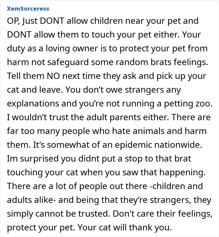 Cat Teaches Aggressive Child Not To Hurt Animals After Parents Failed To Do So