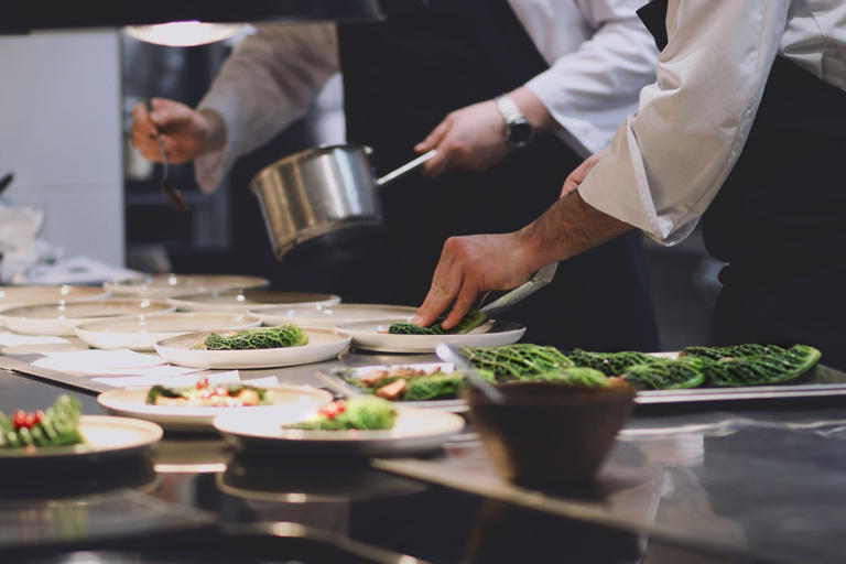 Rodent droppings, roaches temporarily close Sarasota area restaurants