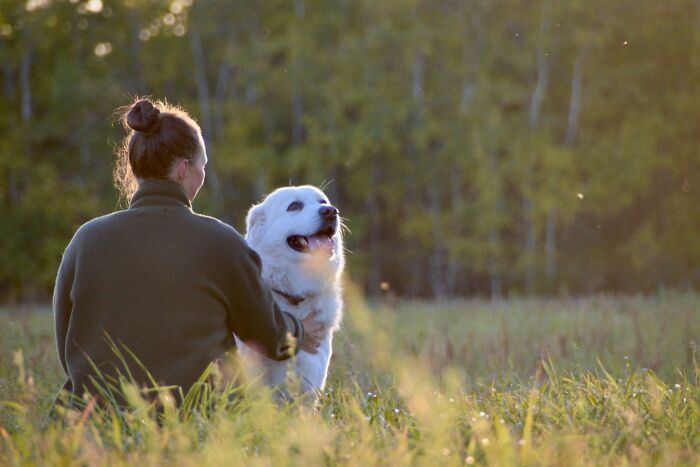 57 People With Unusual Careers Explain What They Do For A Living