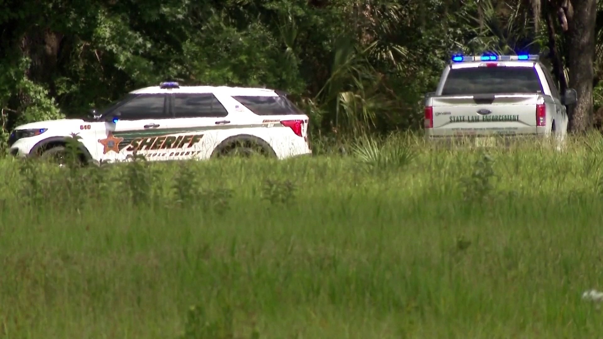 Woman killed after alligator attack in Florida state park