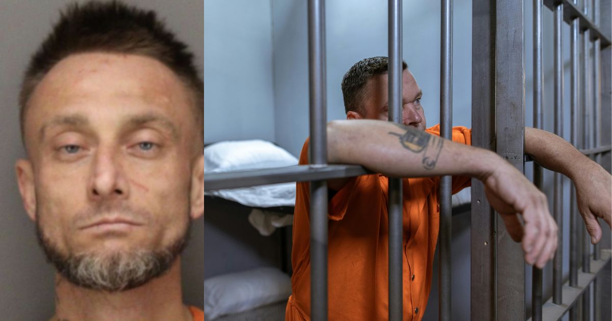 Florida man accused of beating elderly woman to death in hotel, leaving ...