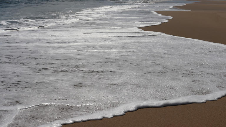 Quicksand isn't as dangerous as you think - but scientists discovered a ...