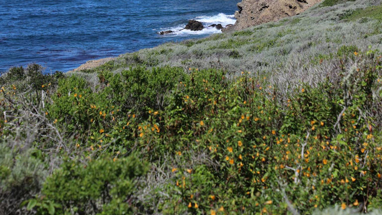 Explore the most scenic 6-day road trip itinerary along California's ...