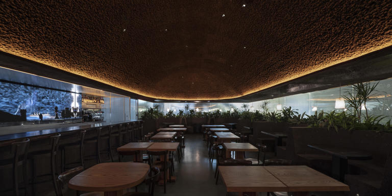 NYC’s newest art museum restaurant exhibits bright salads