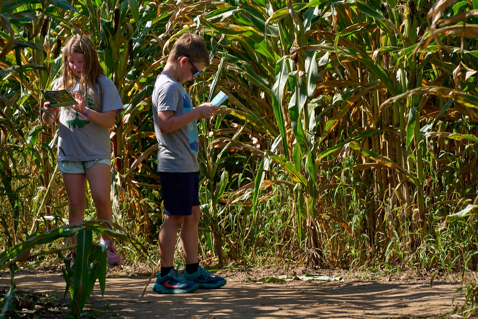 'Spectacular': 'World's largest corn maze' in Illinois unveils ...