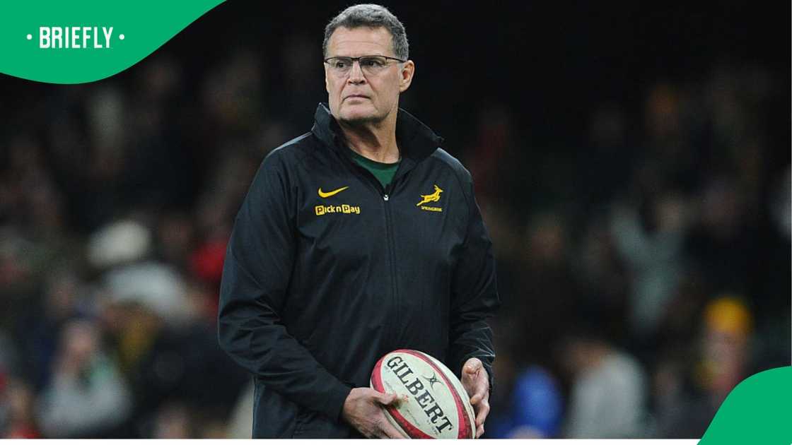 Rassie Erasmus questions World Rugby’s new referee rules over ...