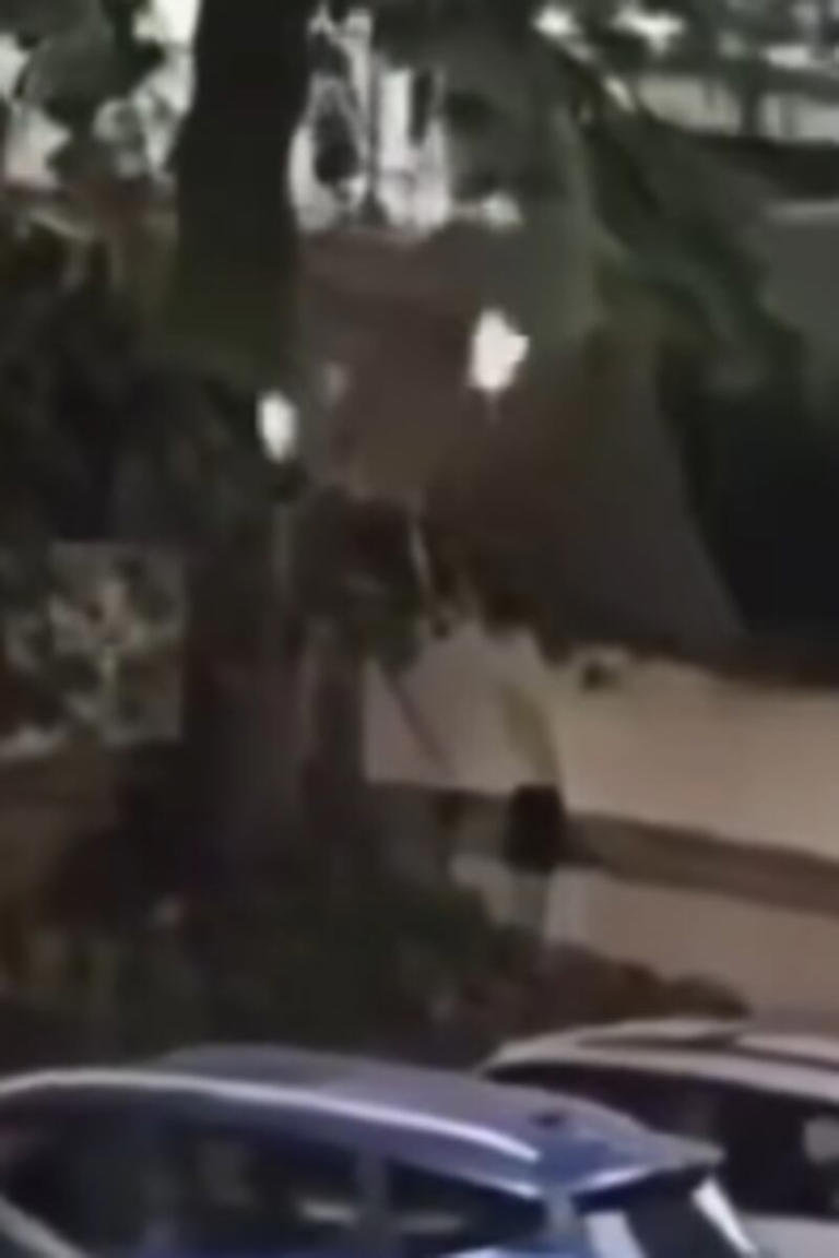 Video: conductora pierde el control y cae con su vehículo a un nivel ...