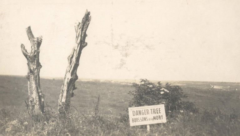 Danger tree installation in France marks 'futility of loss' for ...