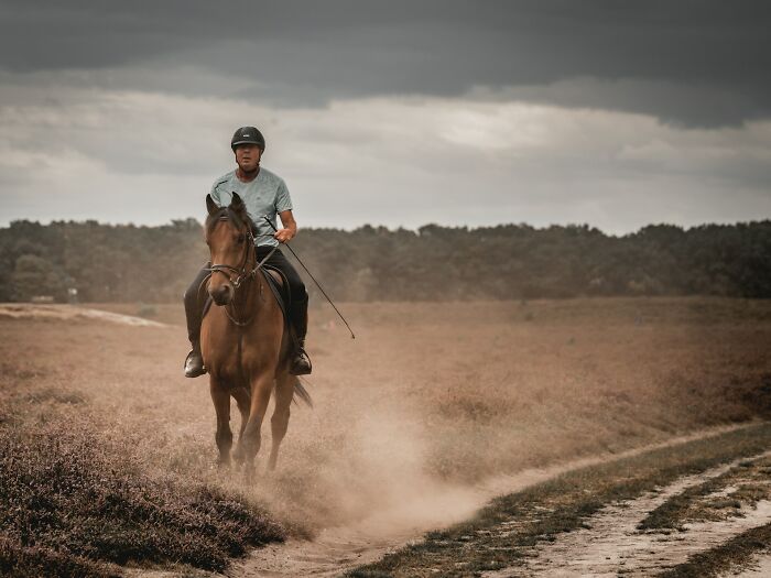 57 People With Unusual Careers Explain What They Do For A Living