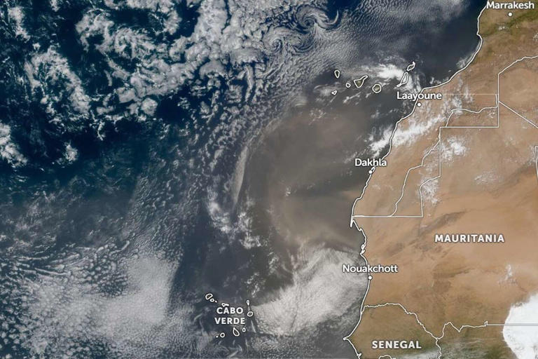 July hurricane outlook: Could El Niño, Saharan dust shape Texas' storm ...