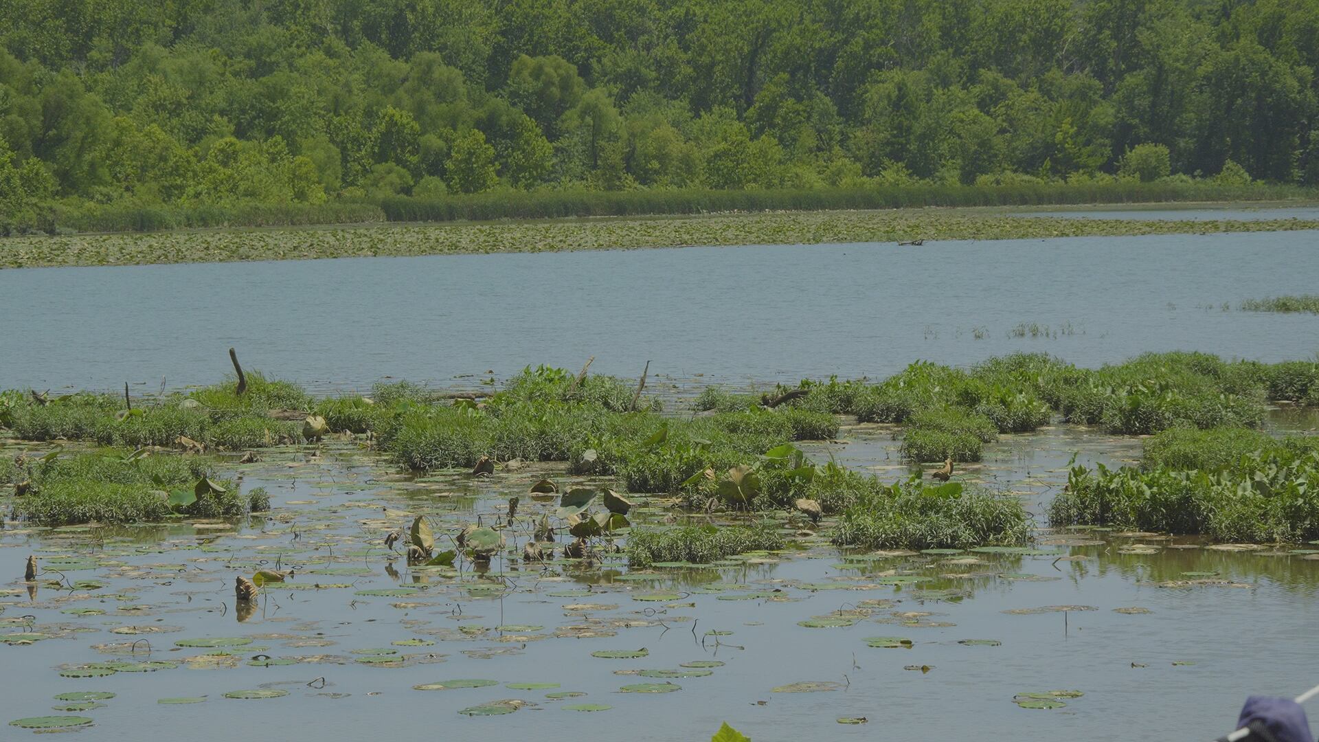 Lake Springfield dam recovery search enters day 17 as the July 4 ...