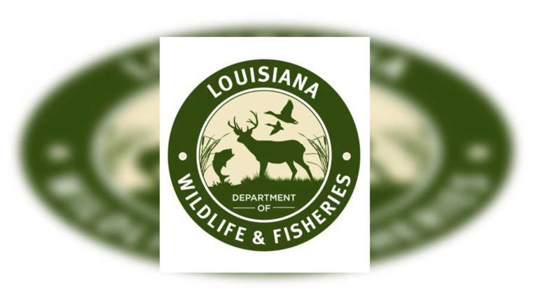 New LDWF rules for firearm suppressors explained