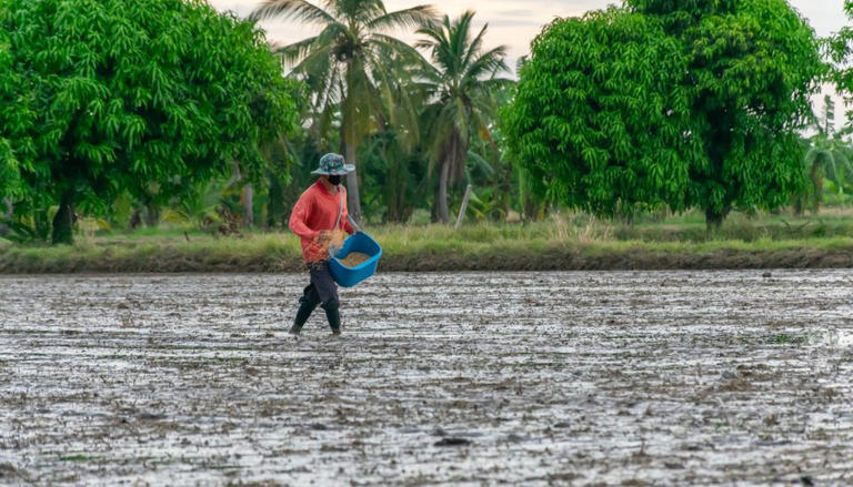 Al déficit de precipitaciones característico de El Niño se suma un aumento sostenido de las temperaturas.