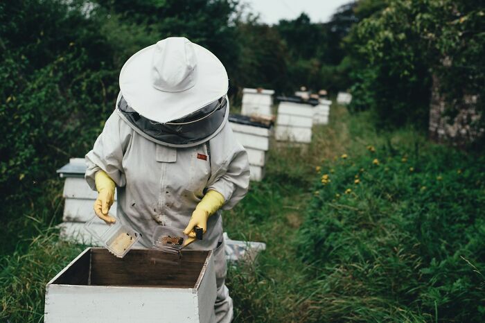 57 People With Unusual Careers Explain What They Do For A Living