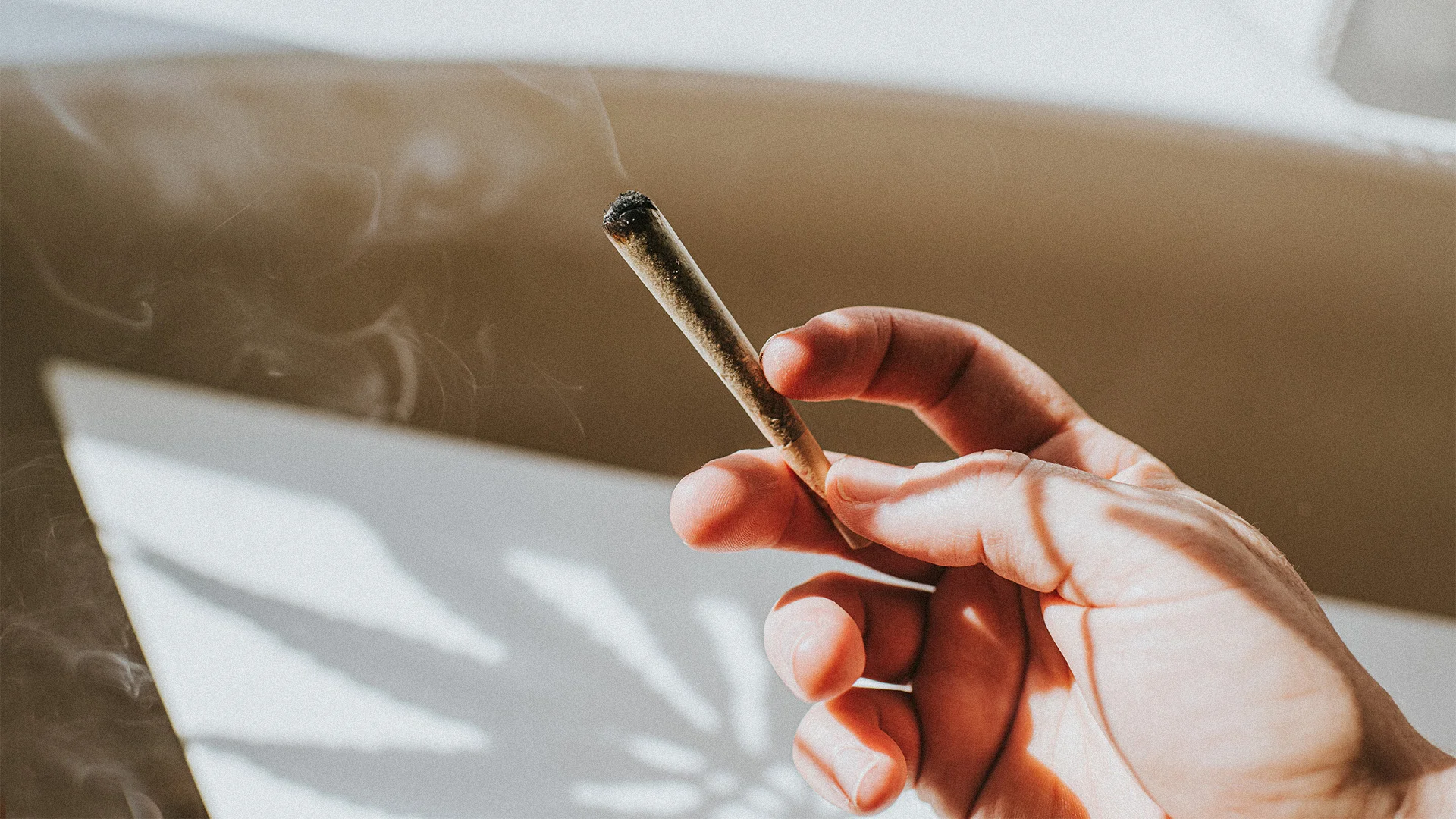 The Unexpected Reason Medical Cannabis Cuts Employee Sick Days by 7 Percent
