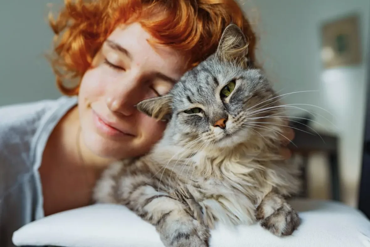 Everything we thought we knew about domestic cats was completely wrong